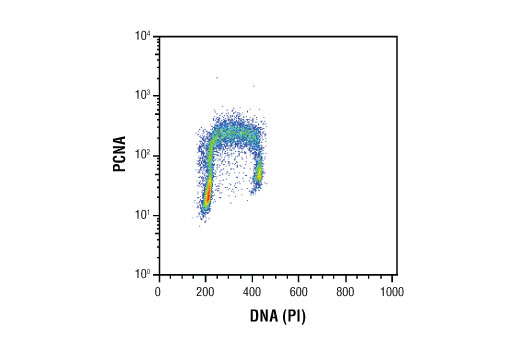 Flow Cytometry Image 1: PCNA (PC10) Mouse mAb (BSA and Azide Free)