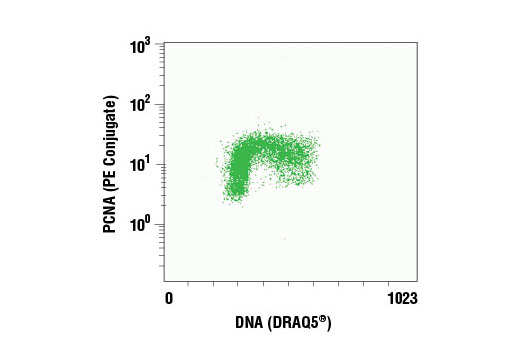 Flow Cytometry Image 1: PCNA (PC10) Mouse mAb (PE Conjugate)