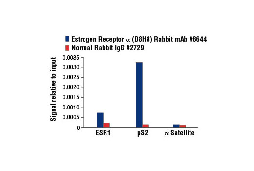 Chromatin Immunoprecipitation Image 3: Estrogen Receptor α (D8H8) Rabbit mAb