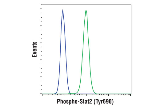 Flow Cytometry Image 1: Phospho-Stat2 (Tyr690) (D3P2P) Rabbit mAb (BSA and Azide Free)