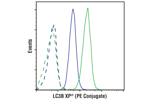Flow Cytometry Image 1: LC3B (D11) XP® Rabbit mAb (PE Conjugate)