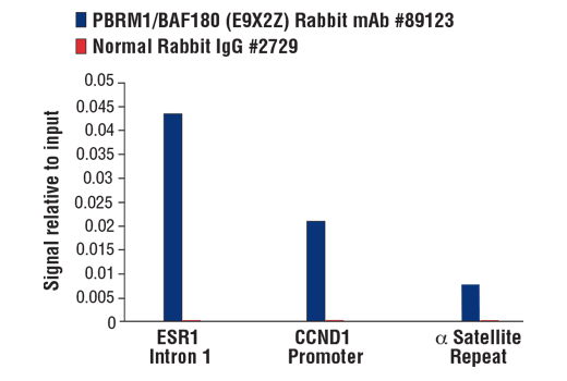 Chromatin Immunoprecipitation Image 1: PBRM1/BAF180 (E9X2Z) Rabbit mAb