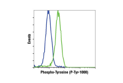 Flow Cytometry Image 1: Phospho-Tyrosine (P-Tyr-1000) MultiMab®  Rabbit mAb mix
