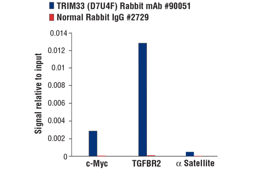 Chromatin Immunoprecipitation Image 1: TRIM33 (D7U4F) Rabbit mAb