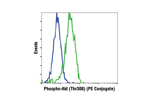 Flow Cytometry Image 1: Phospho-Akt (Thr308) (C31E5E) Rabbit mAb (PE Conjugate)