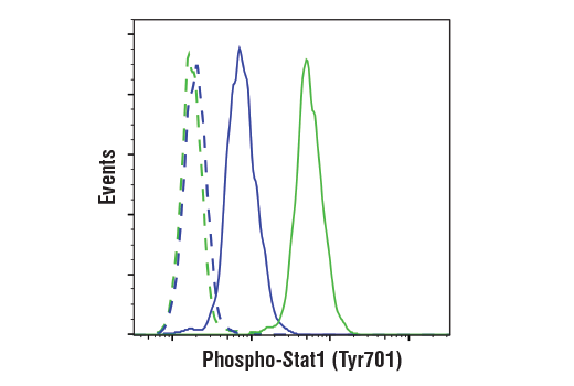 Flow Cytometry Image 2: Phospho-Stat1 (Tyr701) (58D6) Rabbit mAb