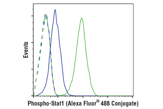 Flow Cytometry Image 1: Phospho-Stat1 (Tyr701) (58D6) Rabbit mAb (Alexa Fluor® 488 Conjugate)
