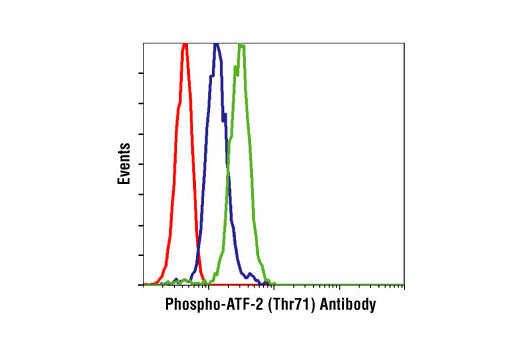  Image 12: PhosphoPlus® ATF-2 (Thr71) Antibody Kit