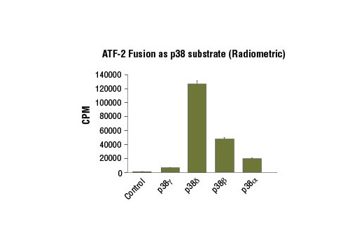  Image 1: ATF-2 Fusion Protein