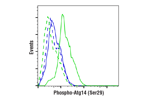 Flow Cytometry Image 1: Phospho-Atg14 (Ser29) (D4B8M) Rabbit mAb