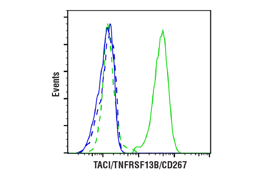 Flow Cytometry Image 4: TACI/TNFRSF13B/CD267 (E1D1P) Rabbit mAb