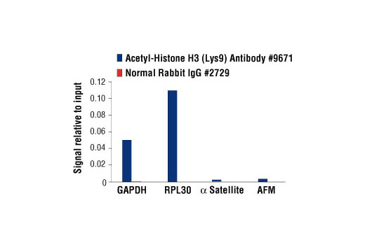 Chromatin Immunoprecipitation Image 1: Acetyl-Histone H3 (Lys9) Antibody