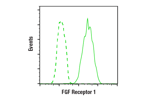 Flow Cytometry Image 1: FGF Receptor 1 (D8E4) XP® Rabbit mAb