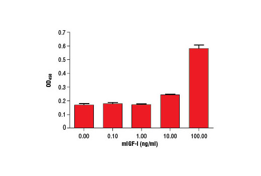  Image 1: Mouse Insulin-like Growth Factor I (mIGF-I)