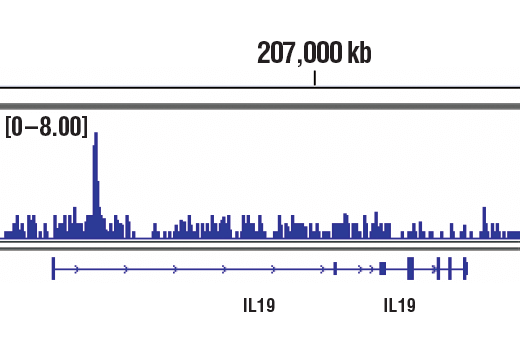Chromatin IP-seq