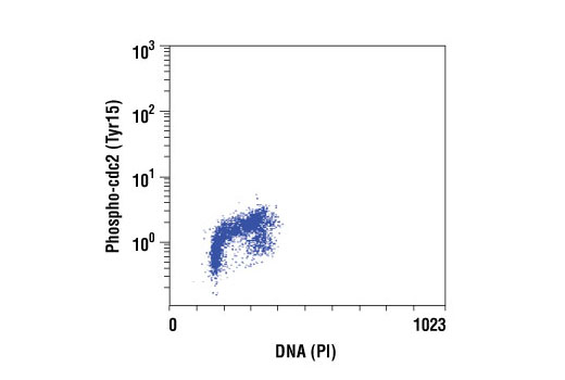 Flow Cytometry