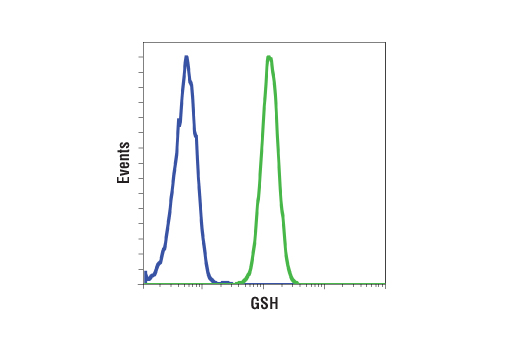 Flow Cytometry