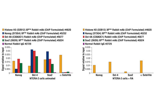 chromatin ip