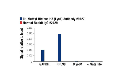 Chromatin IP