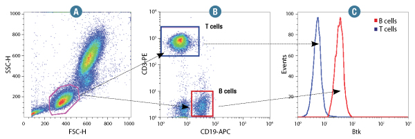 Btk is selectively expressed in B cells.