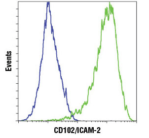 Positive and Negative Cell Lines for #13355