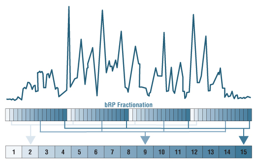 BRP Fractionation