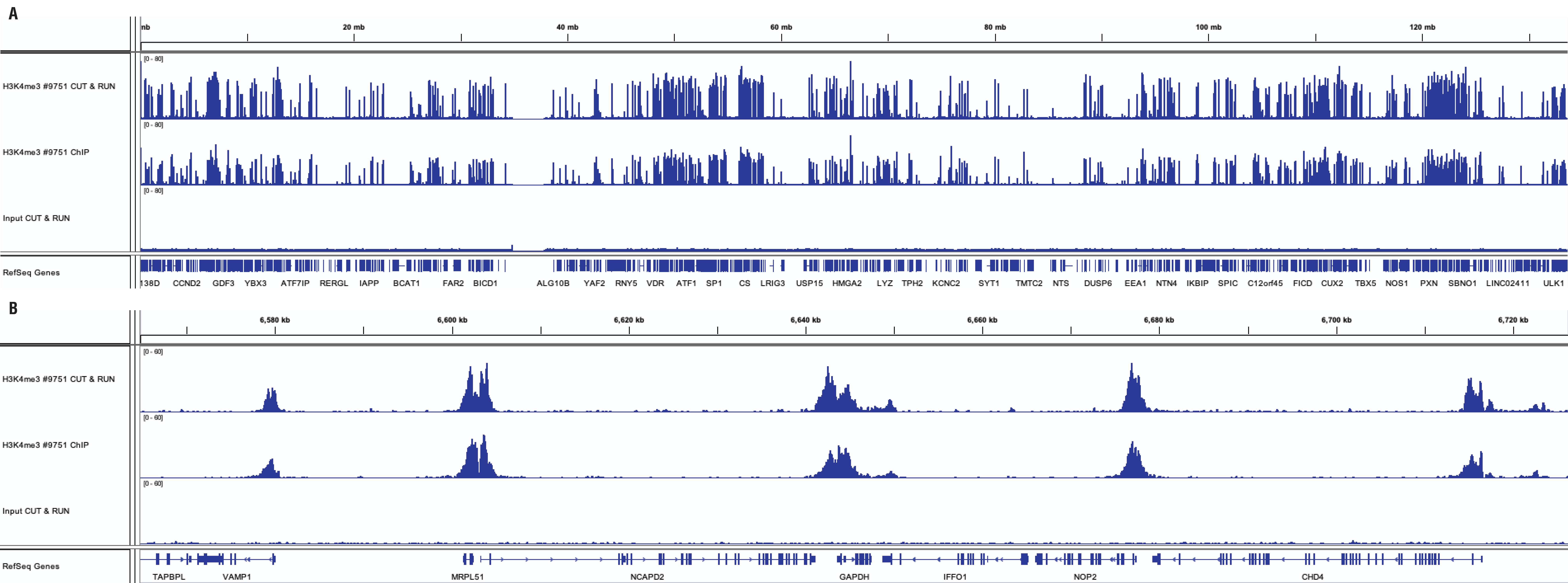 H3K4me3 sequencing results for CUT&RUN and ChIP