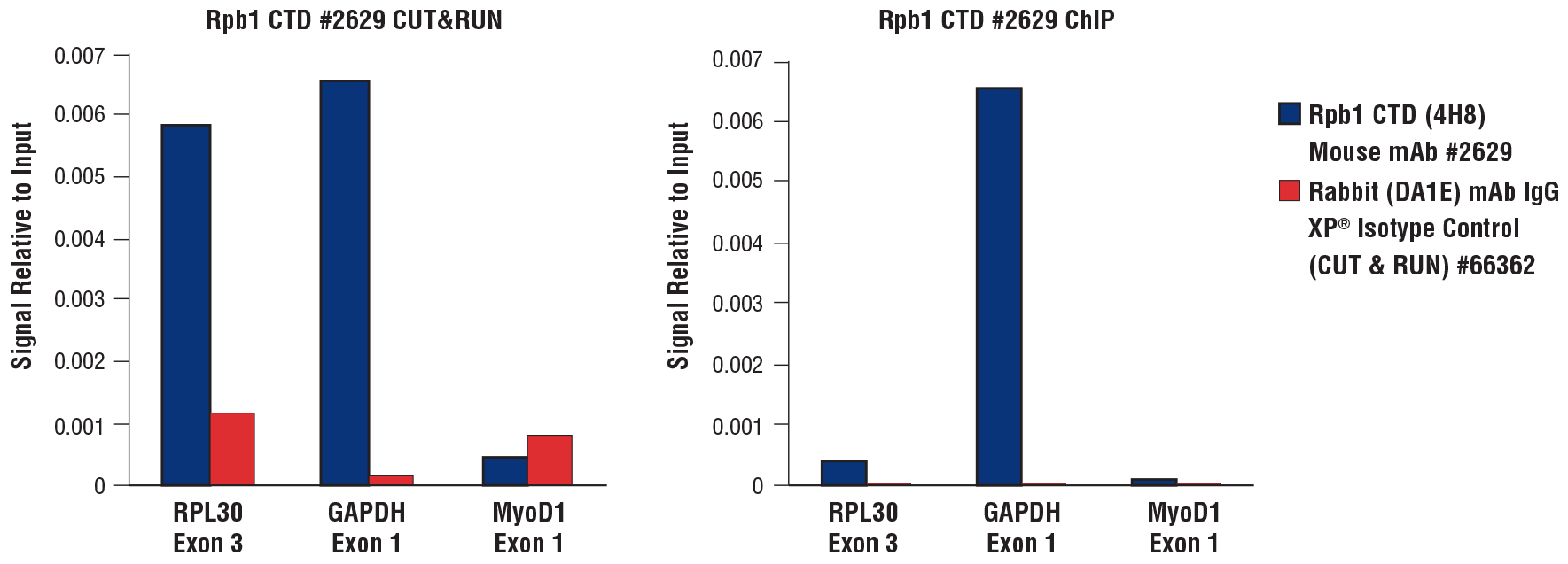 CUT&RUNおよびChIPによるRpb1のCTDのqPCRの結果