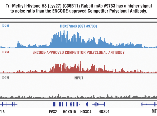 Tri-Methyl-Histone H3 (Lys27) (C36B11) Rabbit mAb #9733と他社メーカーのポリクローナル抗体を並べた比較。