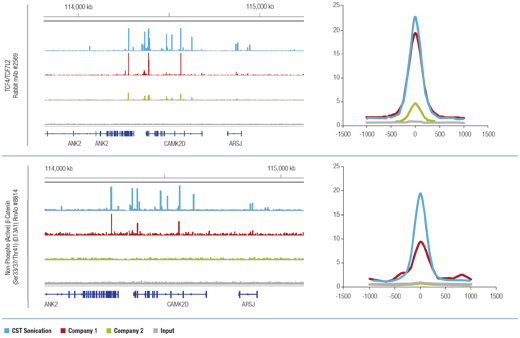 SimpleChIP Plus Sonication Chromatin IP Kit matches competitors' kits performance for transcription factors and cofactors