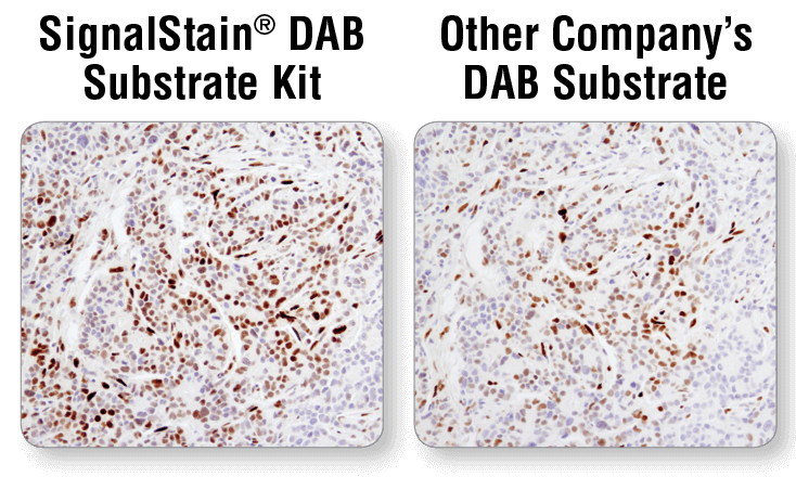 IHC DAB substrate 9145 8059