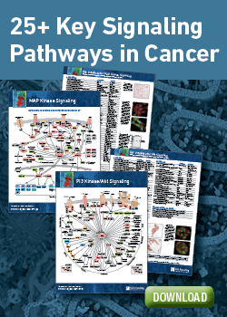 Download Cancer Signaling Pathway Posters
