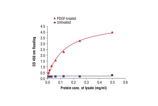 ELISA Image 2: PathScan<sup>®</sup> Phospho-Akt (Thr308) Sandwich ELISA Kit