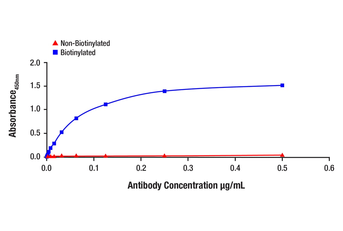 ELISA and/or ELISA-like Assays Image 1: YAP/TAZ (D24E4) Rabbit Monoclonal Antibody (Biotinylated)