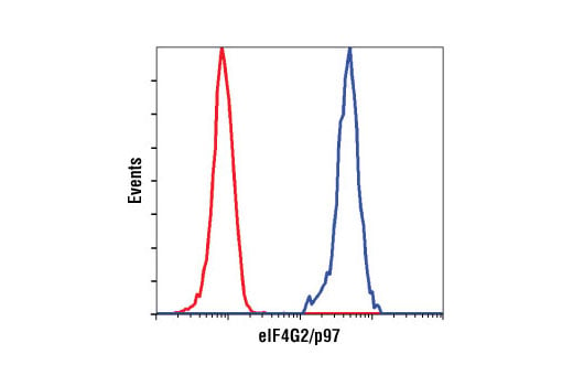 Flow Cytometry Image 1: eIF4G2/p97 (D88B6) XP<sup>®</sup> Rabbit mAb