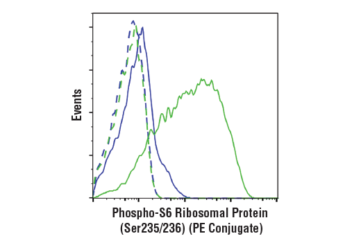 Flow Cytometry Image 1: Phospho-S6 Ribosomal Protein (Ser235/236) (D57.2.2E) XP<sup>®</sup> Rabbit mAb (PE Conjugate)