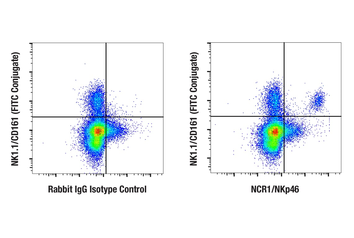 Flow Cytometry Image 1: NCR1/NKp46 (F8M2L) Rabbit Monoclonal Antibody