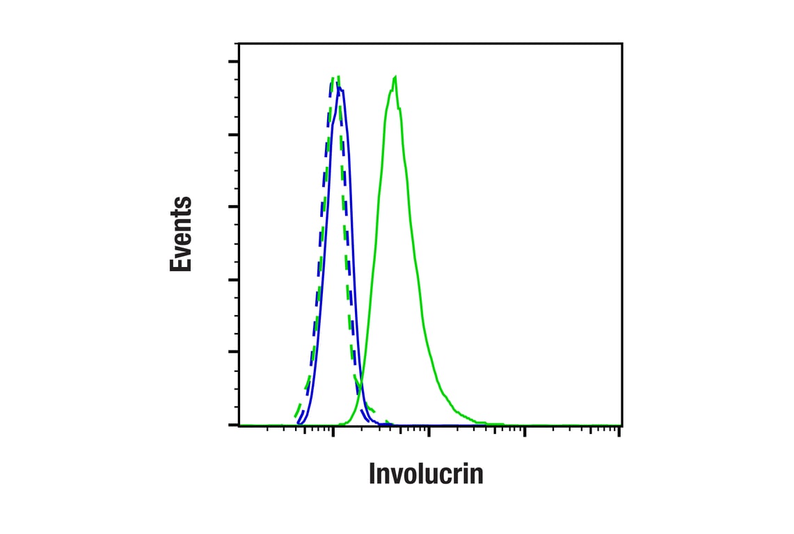 Flow Cytometry Image 1: Involucrin (F9C3C) Rabbit Monoclonal Antibody