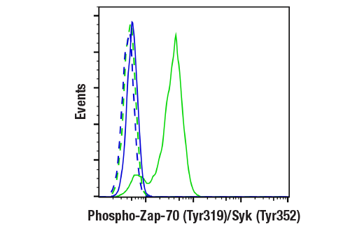 Flow Cytometry Image 1: Phospho-Zap-70 (Tyr319)/Syk (Tyr352) (65E4) Rabbit Monoclonal Antibody (BSA and Azide Free)