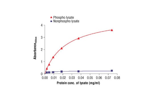 ELISA Image 2: PathScan<sup>®</sup> Phospho-Met (Tyr1234/1235) Sandwich ELISA Kit