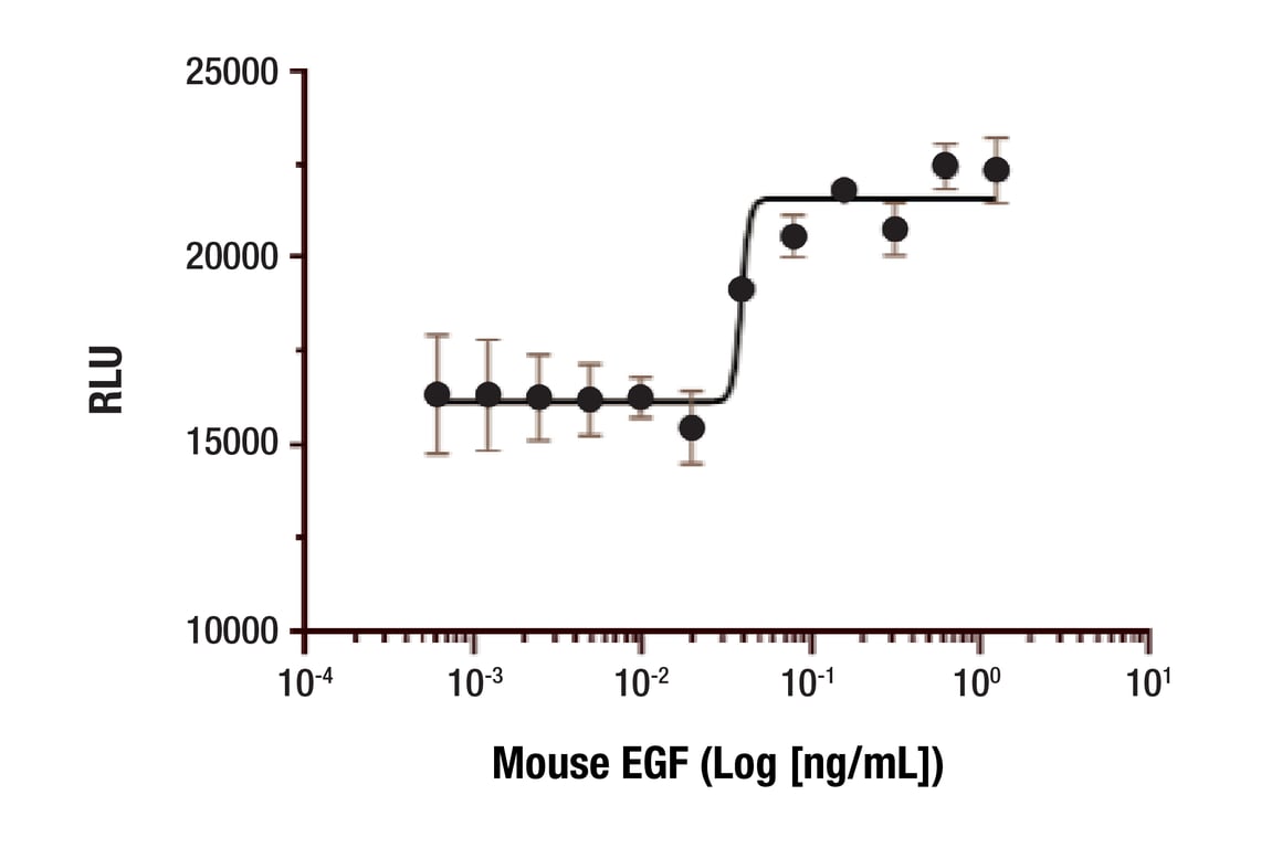 undefined Image 2: Mouse EGF Recombinant Protein