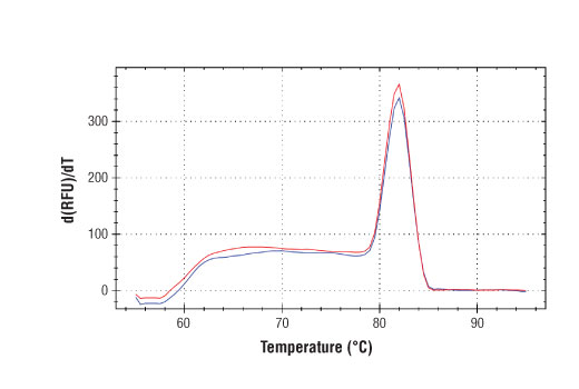 Chromatin Immunoprecipitation Image 2: SimpleChIP<sup>®</sup> Human GLA Promoter Primers