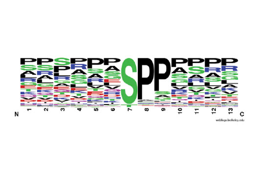 PTMScan Image 2: PTMScan<sup>®</sup> Phospho-Ser-Pro-Pro Motif [pSPP] Kit
