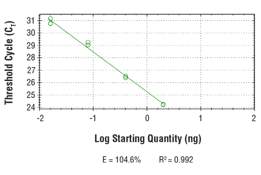 Chromatin Immunoprecipitation Image 2: SimpleChIP<sup>®</sup> Mouse Pdk4 Promoter Primers