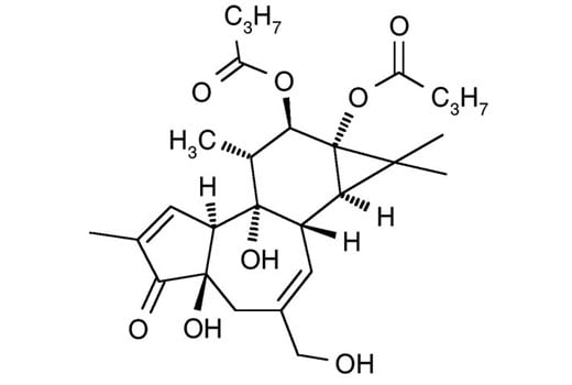 undefined Image 2: PDBu (Phorbol 12,13-Dibutyrate)