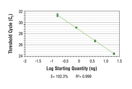 Chromatin Immunoprecipitation Image 2: SimpleChIP<sup>®</sup> Human CTGF Promoter Primers