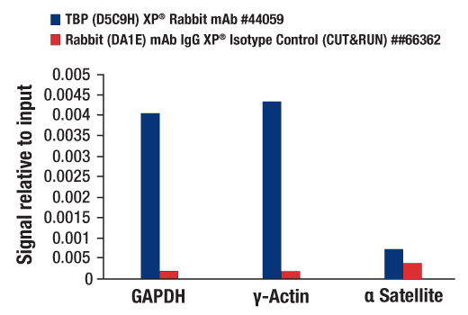 CUT & RUN Image 3: TBP (D5C9H) Rabbit Monoclonal Antibody