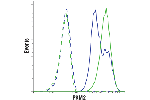 Flow Cytometry Image 1: PKM2 (D78A4) XP<sup>®</sup> Rabbit mAb (BSA and Azide Free)