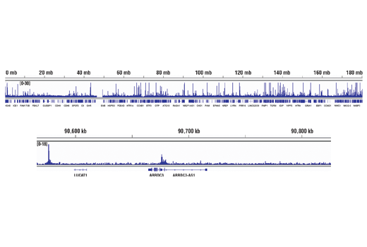 undefined Image 65: Microglia Neurodegeneration Module Antibody Sampler Kit