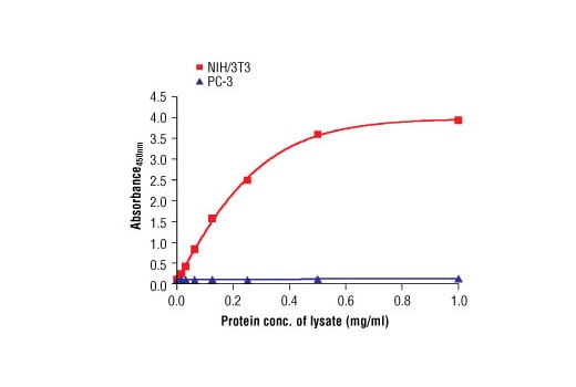 ELISA Image 2: PathScan<sup>®</sup> Total PTEN Sandwich ELISA Kit